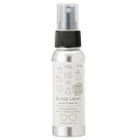 グラスライト レンズクリーナー 70ml 001373
