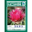 ショウワノート ジャポニカ学習帳 B5判 JL-2-1 さんすう 14マス 001021 10冊セット