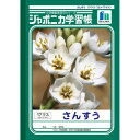 ショウワノート ジャポニカ学習帳 B5判 JL-2-2 さんすう 17マス 001022 10冊セット