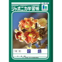 ショウワノート ジャポニカ学習帳 B5判 JL-11-1 国語 12行 001111 10冊セット