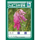 ショウワノート ジャポニカ学習帳 B5判 JL-13 国語 15行縦リーダー 001130 10冊セット