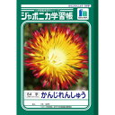 ショウワノート ジャポニカ学習帳 B5判 JL-49 かんじれんしゅう 84字 001490 10冊セット