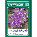 ショウワノート ジャポニカ学習帳 B5判 JL-49-1 かんじれんしゅう 91字 001491 10冊セット