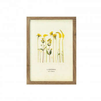 ラドンナ フォトフレーム 写真たて DF53-2L-BR