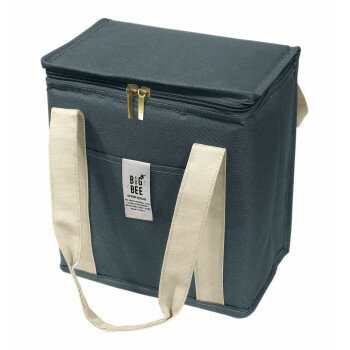 �����ȡ� BigBee BOX�������顼�����Хå� ���������ͥ��ӡ�