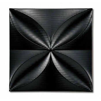 プラデック ウォール アート「エコー」 ブラック PL-05832