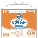 ハクゾウメディカル ハクゾウさわやかケアパッド ビッグ 30枚×4袋 3180355