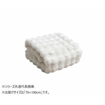 　ギフト対応について　楽天国際配送対象店舗 （海外配送）　Rakuten International Shipping&nbsp;2枚合わせ毛布 ラピアス プレミアム IV 70×100cm 1195990140810プレミアムな触り心地の...