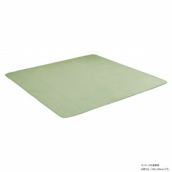 �ԥ��ˡ�2 �ե��ͥ� ̵�ϥ饰 200��300cm ���������꡼�� 1380000025953