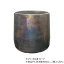 AM5ベースBK H19 3u00055BK