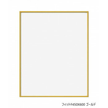 A.P.J. フィットF450X600 ゴールド 0020199355