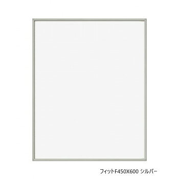 A.P.J. フィットF450X600 シルバー 0020199331