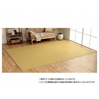  뤤Ĵڥå ١ ϴ4.5 255255cm 1090030020402 [åԥԲ][Բ][ƱԲ]