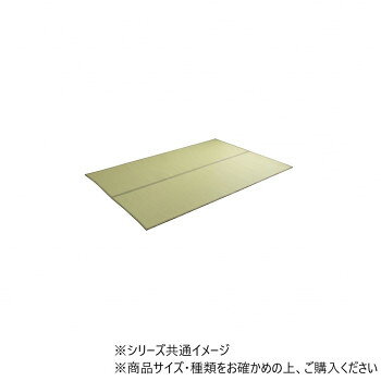 洗える ござ 日本製 ミーサ 江戸間2畳 174×174cm GN 1090740120902 [ラッピング不...