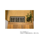 玄関マット 靴置きマット 30×45cm アシアト 1311690018301