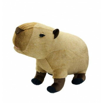 ���� �꤯�Τʤ��ޤ��� �̤������ BIG ���ԥХ� 180010