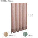 川島織物セルコン プリザー 1.5倍形態安定プリーツ ドレープカーテン 1枚 100×200cm DF1144S BE・ベージュ