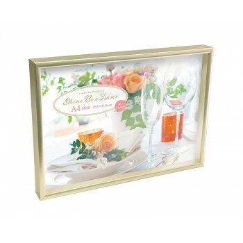 シャインBOXフレーム A4判 106397