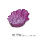 シンカテック 新鮮弁当カップ ベジカップ R キャベツ
