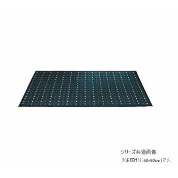 掛川マット十和田 掛川織 い草玄関マット 60x90cm ブラック TSN341235 [ラッピング不可][代引不可][同梱不可]