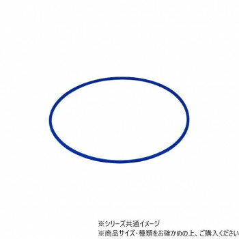 DANNO(ダンノ) カラーリングNO2 φ80cm (ブルー) D0341B [ラッピング不可][代引不可][同梱不可]