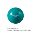 DANNO ダンノ プライオボール100 D5275