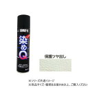 染めQテクノロジィ エアゾール 保護ツヤダシ 264ml