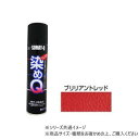 染めQテクノロジィ エアゾール ブリリアントレッド 264ml