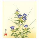 色紙 吉井蘭月 桔梗 24.2×27.2cm K5-021C