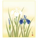 色紙 田村竹世 菖蒲 24.2×27.2cm K5-016B