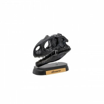 FDW-505 アロサウルス スカル ミニモデル 73505