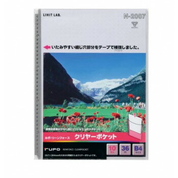 LIHIT LAB.(リヒトラブ) クリヤーポケット ルポ・リーンフォース B4 S型(タテ型) グレー N-2007
