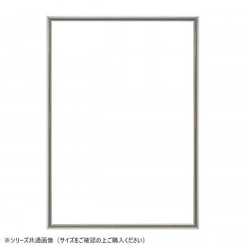 大額 パネルフレーム アルパネ(5016)A-2シルバー