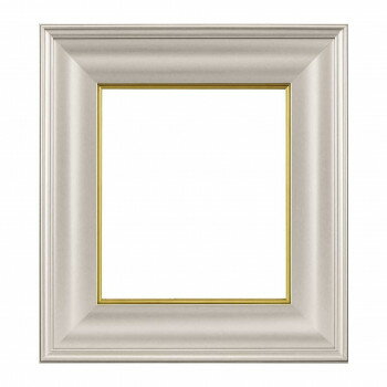 大額 色紙額 4984 色紙 シャンペンゴールド