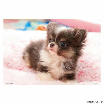 　ギフト対応について　楽天国際配送対象店舗 （海外配送）　Rakuten International Shipping&nbsp;ビバリー ペットジグソーパズル チワワなボク 300ピース 300-008ペットジグソーパズル【ビバリー ペッ...