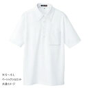 アイトス 吸汗速乾(クールコンフォート)半袖ボタンダウンポロシャツ(男女兼用) ホワイト LL 10599(4)