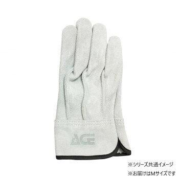 ����� ������ �����׼��� ��˥�� ������ M������ AG4601