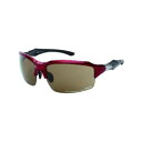 スポーツグラス FILA SF6401 22 レッドブラック 220049