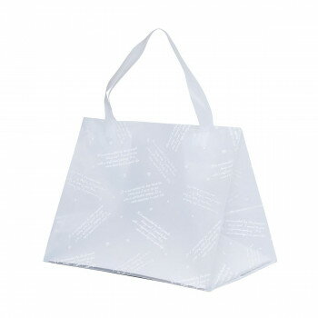 HDシオンバッグLバイオ 10枚 XZL13T09