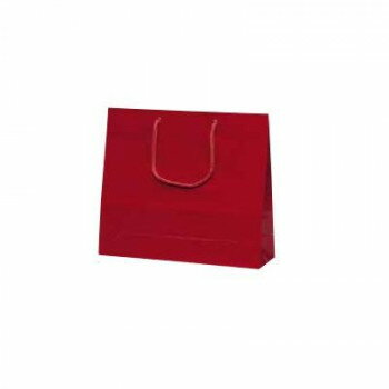 ファインバッグ手提袋 ワイン 1173 10枚