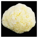 クサカベ 水彩用品 海綿(細目) S-3