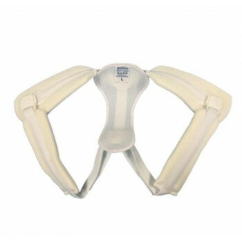 ���ܱҺ� ���󤿤󺿹��Х��NE-2903 L