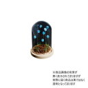 Flower glass dome フラワーガラスドーム 41402
