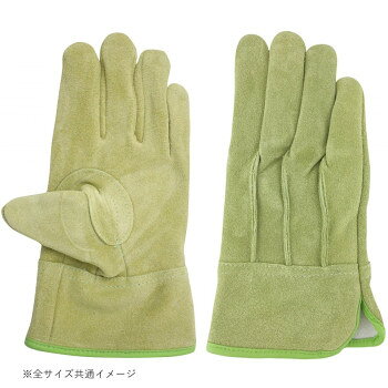 ����� ������ ����Ͻ��� �����׼��� ������ ��˥�� ���� �饤�� ������S������ AG2553
