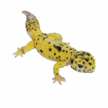 REPTILES MAG LEOPARD GECKO マグネット HIGH YELLOW 2916