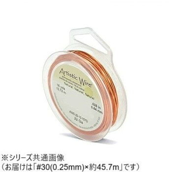 AW �磻�䡼�ʥ�����ɥ��ס��륹�� �ʥ�����30(0.25��) 30��0.25mm����45.7m