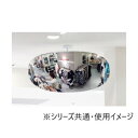 ユニット スーパーオーバルミラー 室内用 869-731