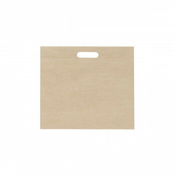 クラフト保冷バッグ 10枚 XZL90730 [ラッピング不可][代引不可][同梱不可]