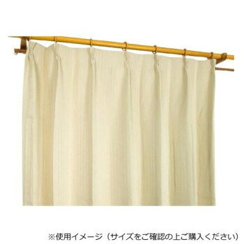 カーテン エクセル 2P 100X200 IV 545367000200061