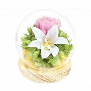 お供え用(仏花) 四季スフィア プリザーブドフラワー 水無月 ユリ C38306